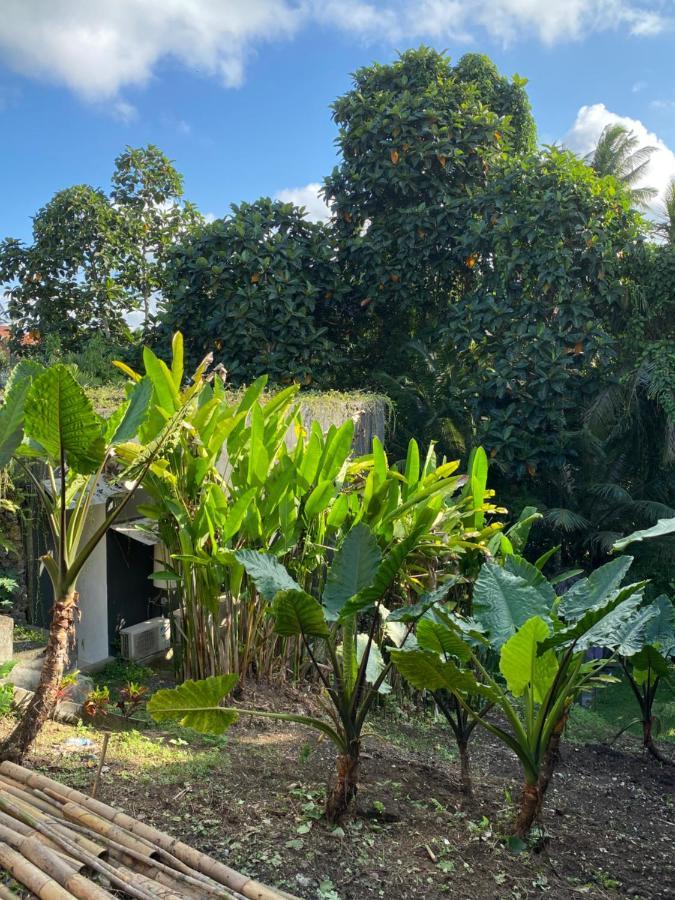 The Civyt Hotel Ubud  Exterior photo